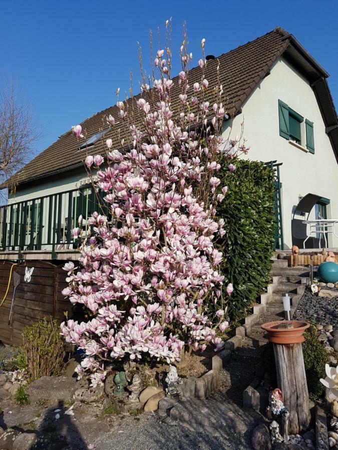 Le Nid Fleuri De Cravanche Buitenkant foto